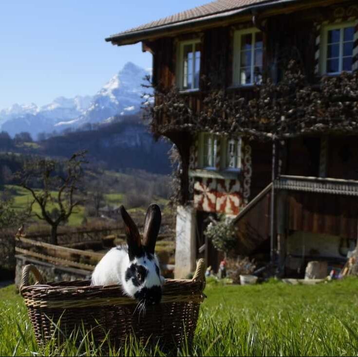 Oberhofstatt