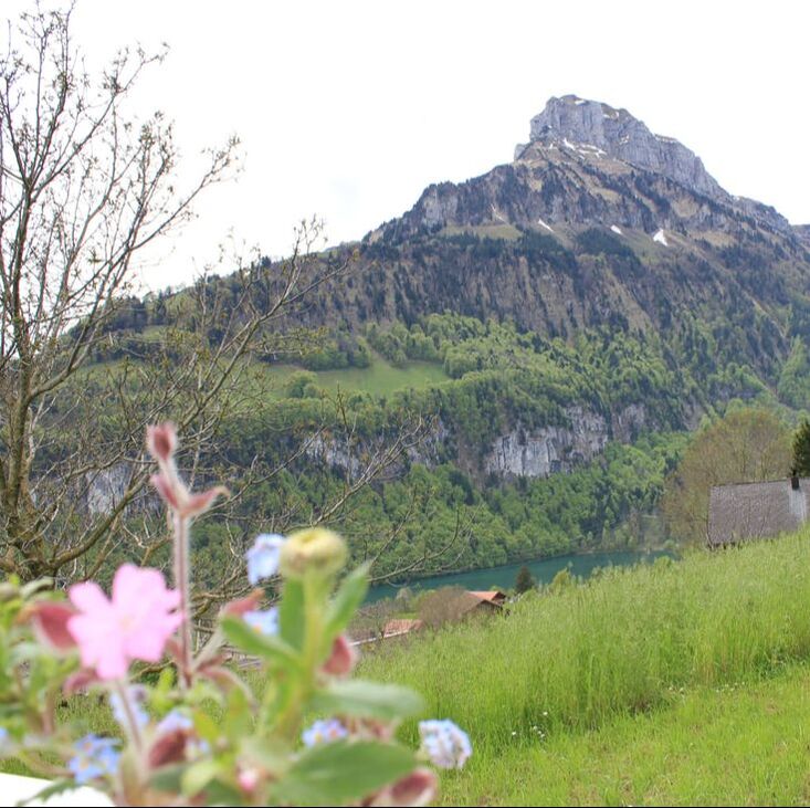 Das Zimmer Bristen hat einen wunderbaren Ausblick auf die Urner Berge und allen voran den Bristen.