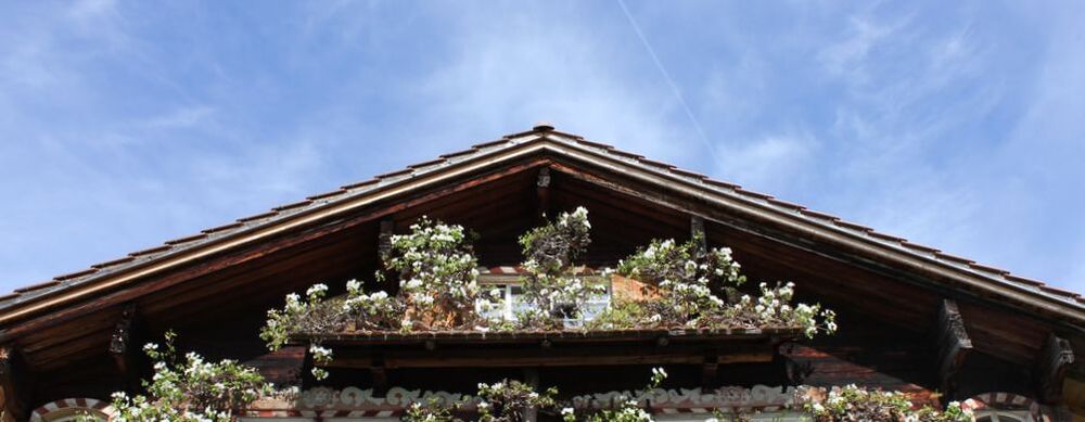 Das bnb Oberhofstatt im Frühling mit blühendem Birnenbaum und blauem Himmel.